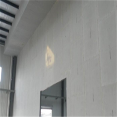 让胡路新型建筑材料掺多种工业废渣的ALC|ACC|FPS模块板材轻质隔墙板